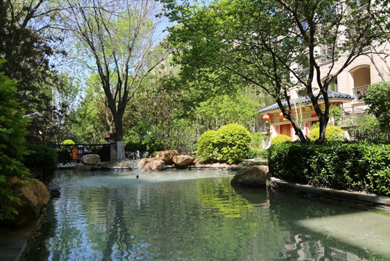 腾博会官网集团